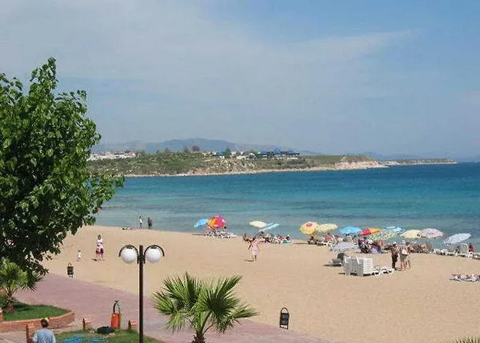 Tuntas Altinkum Didim