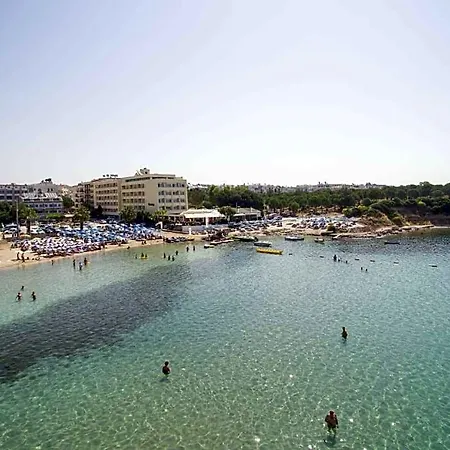 Tuntas Altinkum Didim
