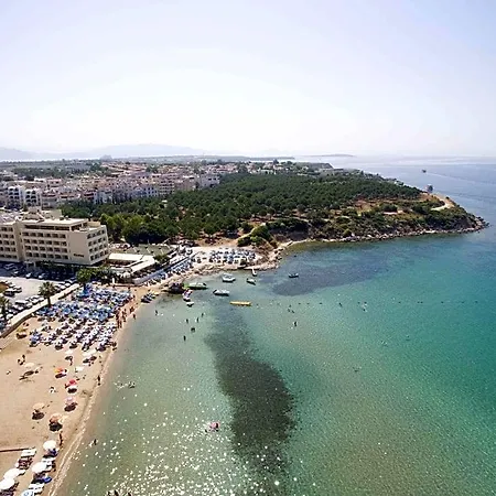 Tuntas Altinkum 3*