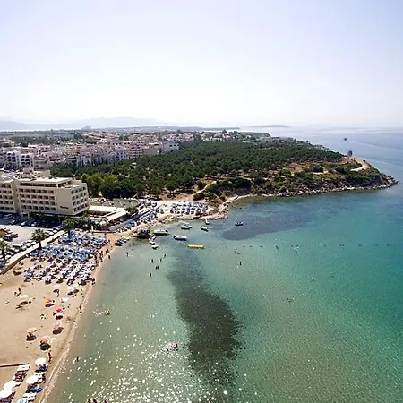 Tuntas Altinkum Didim