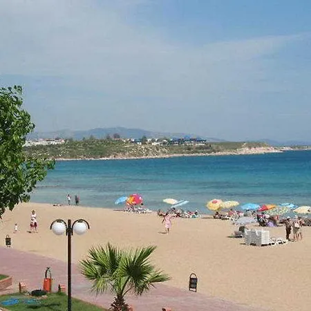 Tuntas Altinkum Didim