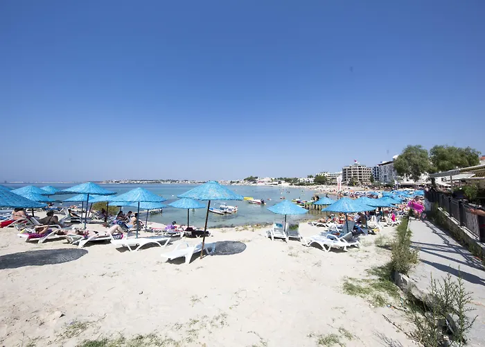 Tuntas Altinkum Didim